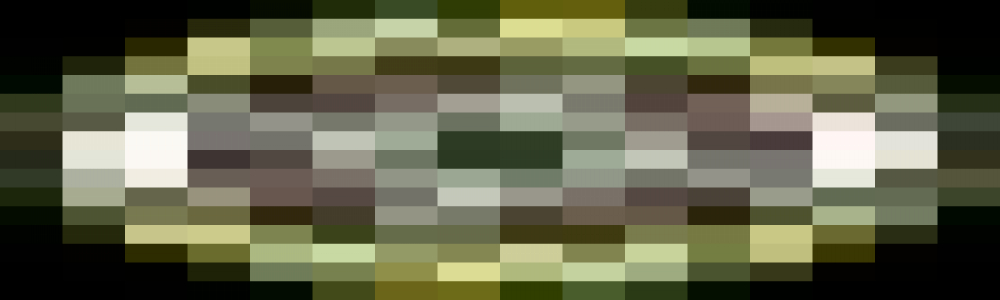 Company Banner